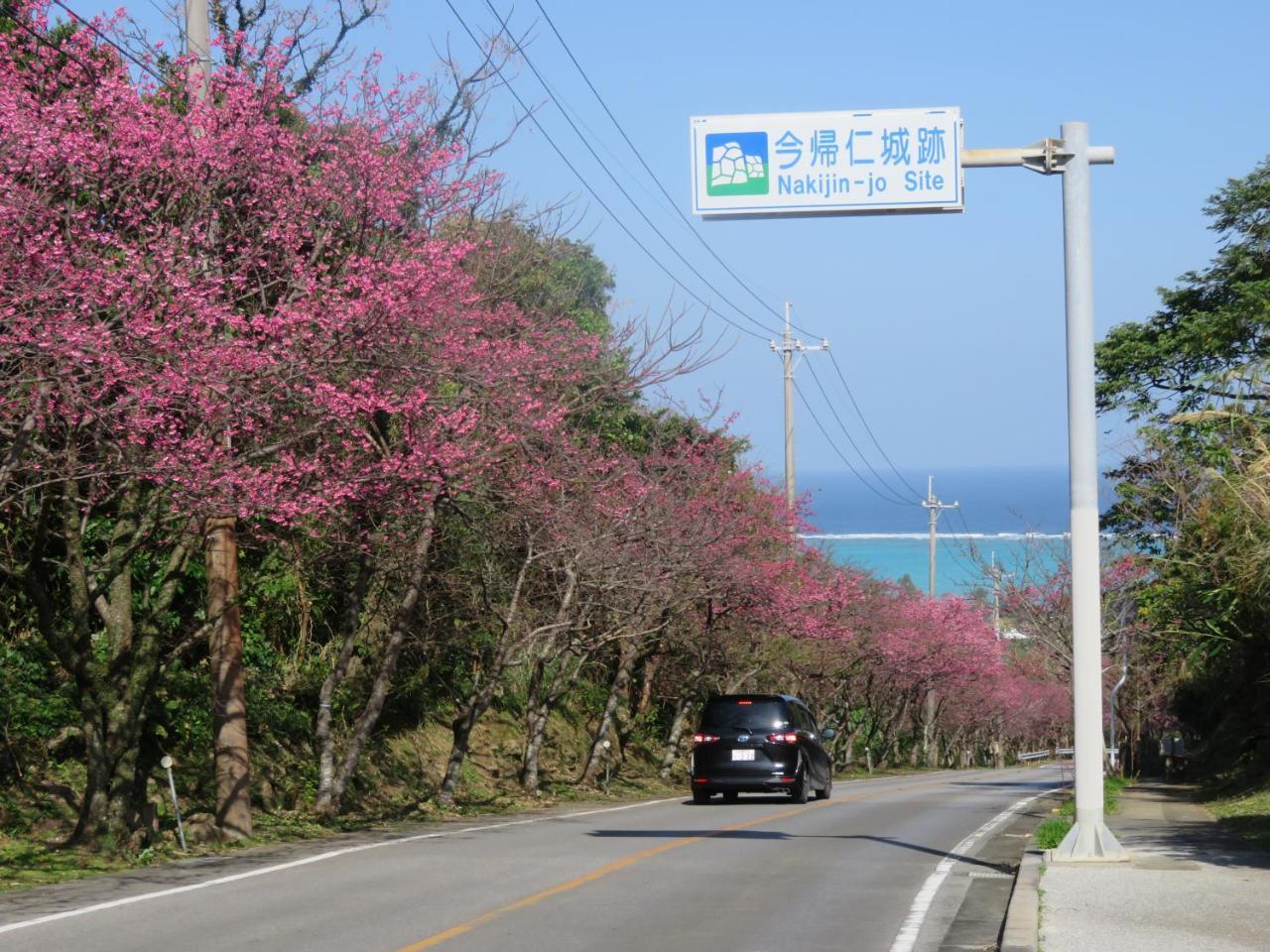 Okinawa Freedom Villa Nakijin Bagian luar foto